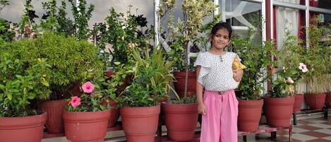 Teras/veranda