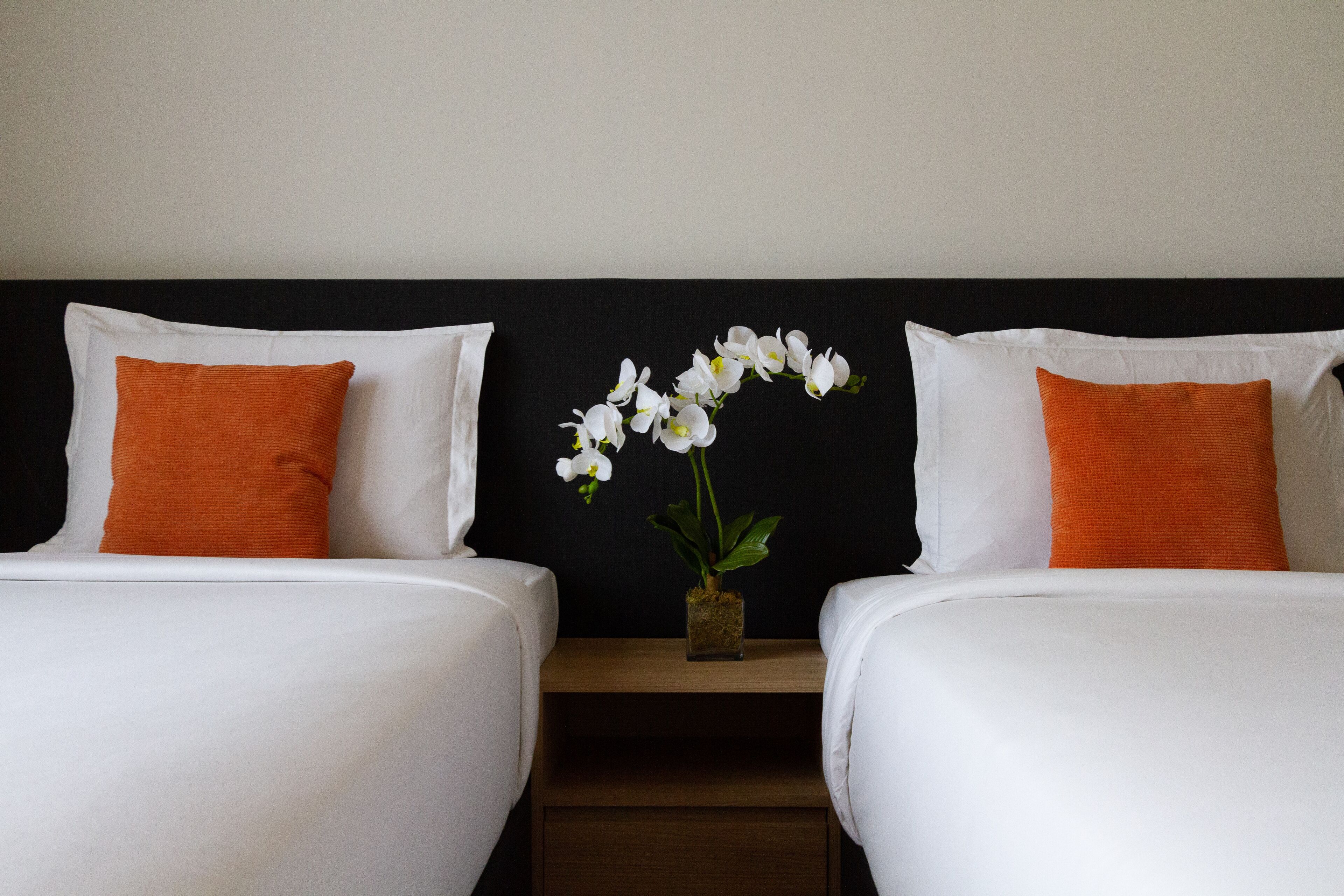 executive twin room | premium bedding, minibar, in-room safe, desk