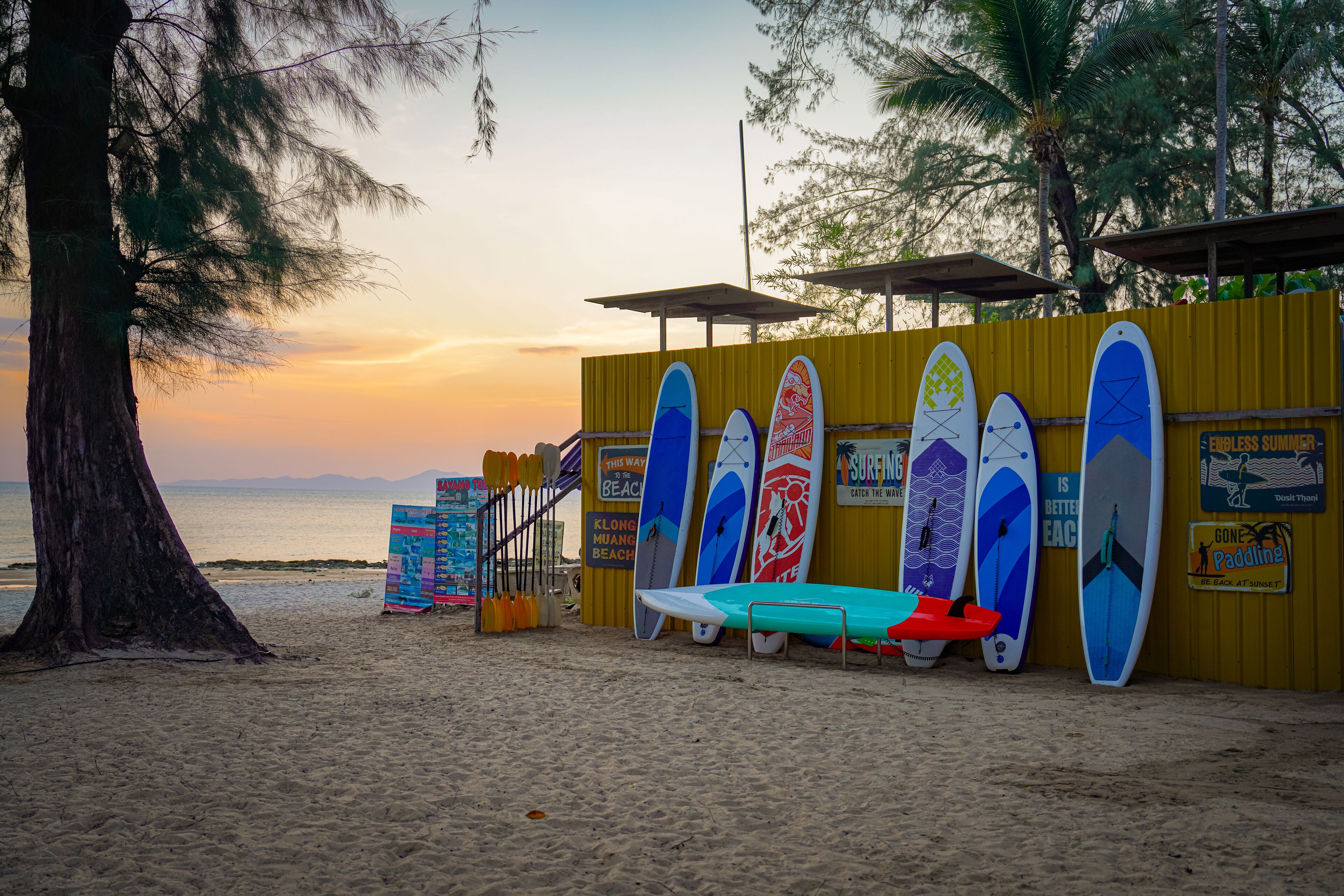 Una playa con tablas de surf apoyadas contra una pared amarilla, un árbol y un atardecer al fondo.