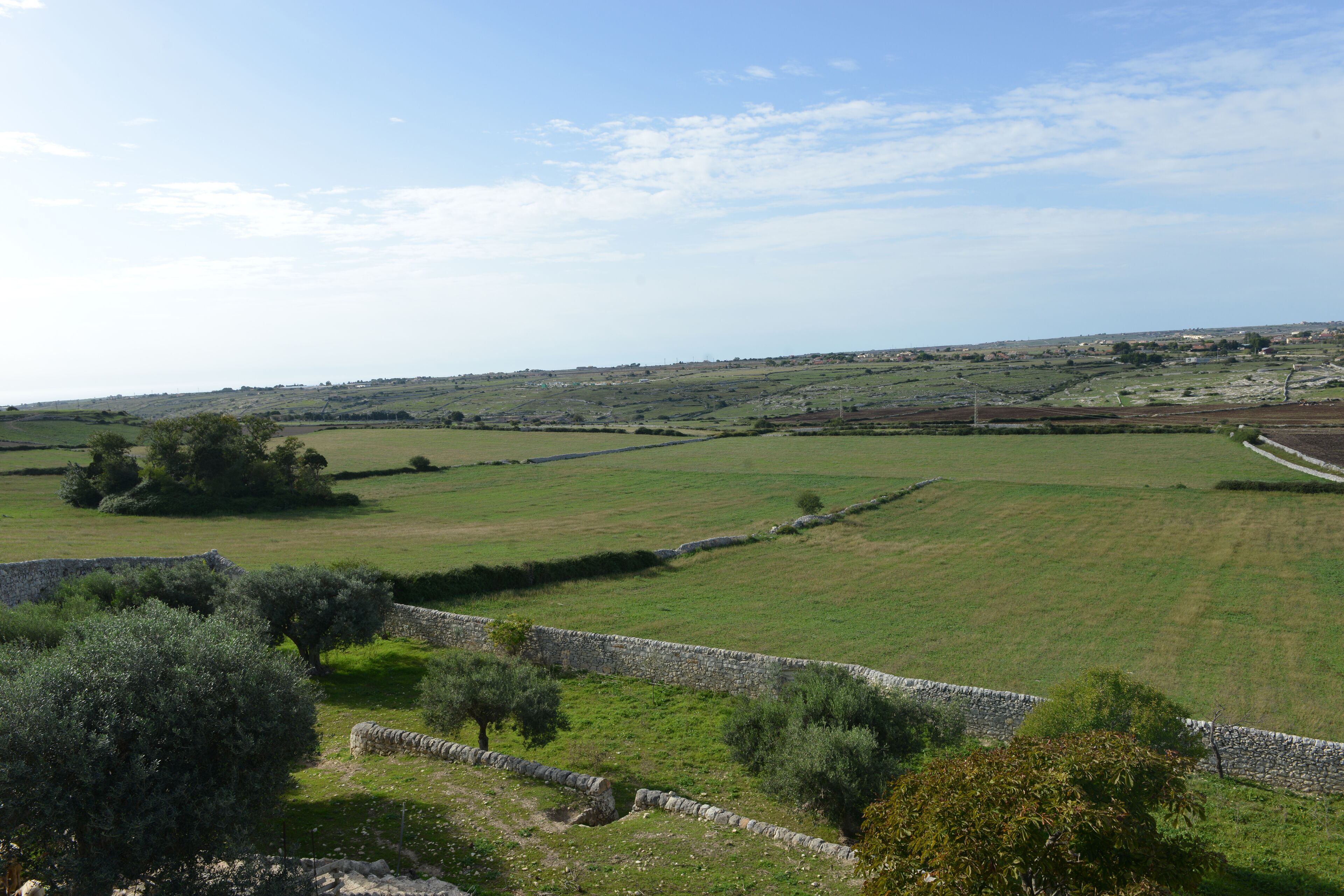 Paisaje rural con muros de piedra, olivos y un pueblo lejano.