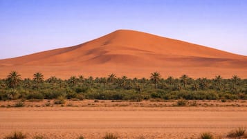 Blick auf die Umgebung