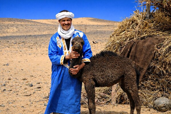 Una persona vestida con traje tradicional sostiene un animal pequeño en un paisaje desértico.