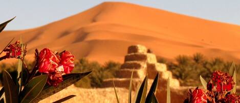 Vista da propriedade