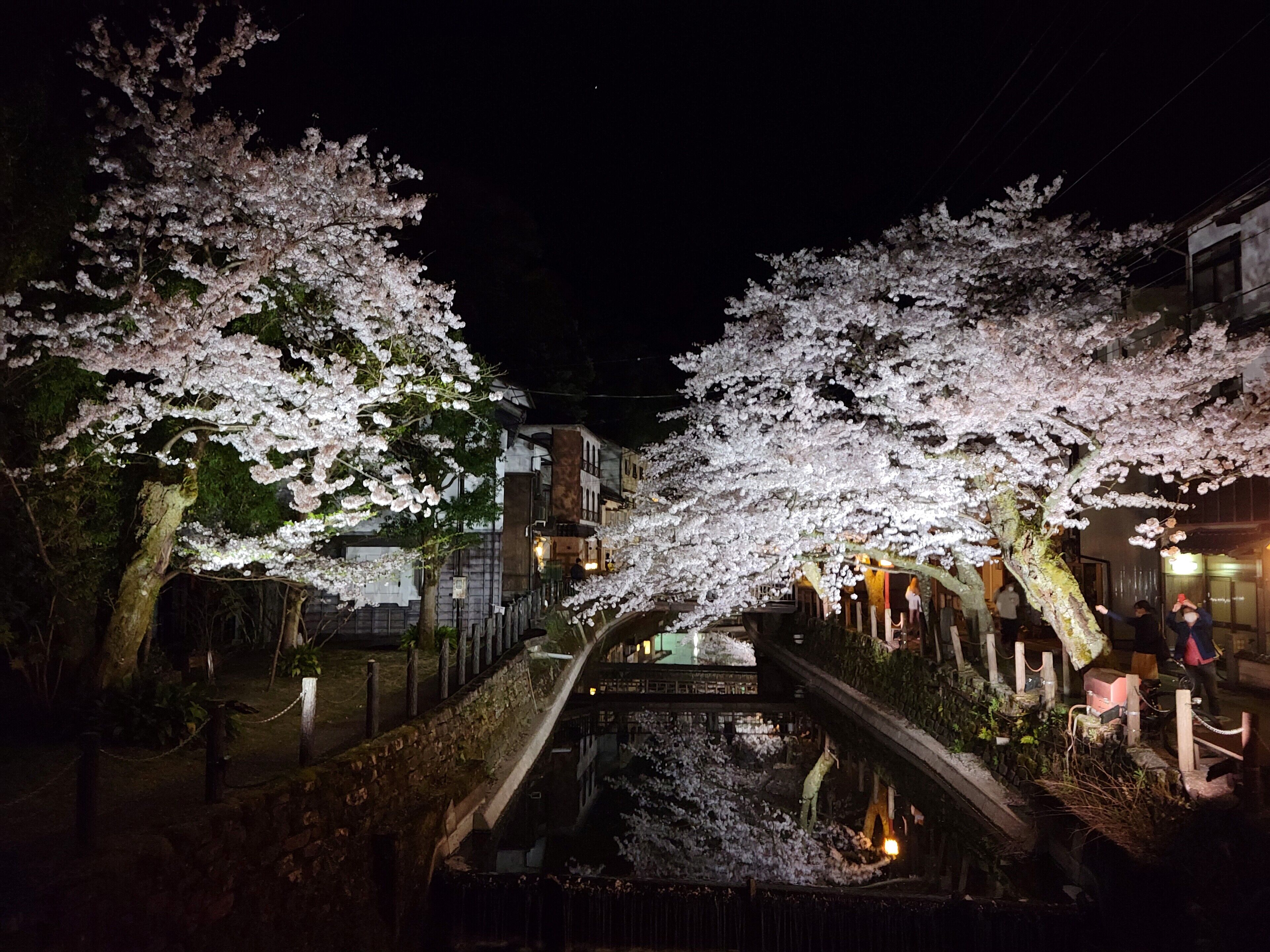 A traditional Japanese building with a stone bridge and cherry blossoms.