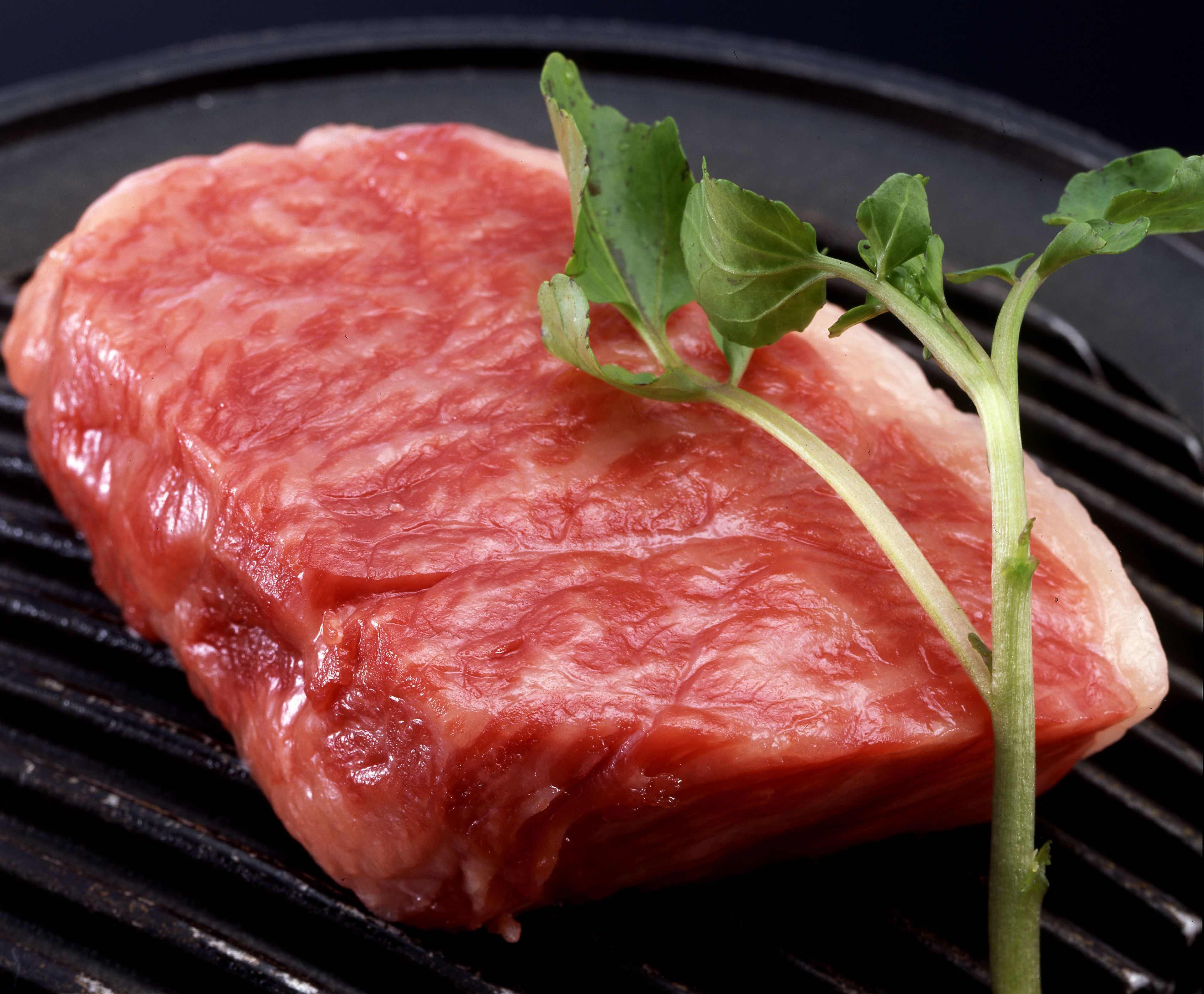 A steak on a grill with a sprig of green herb.