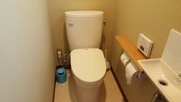Een kleine badkamer met toilet, een blauwe prullenbak en een witte wastafel.