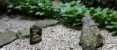 Un jardín con piedras, rocas y plantas verdes.
