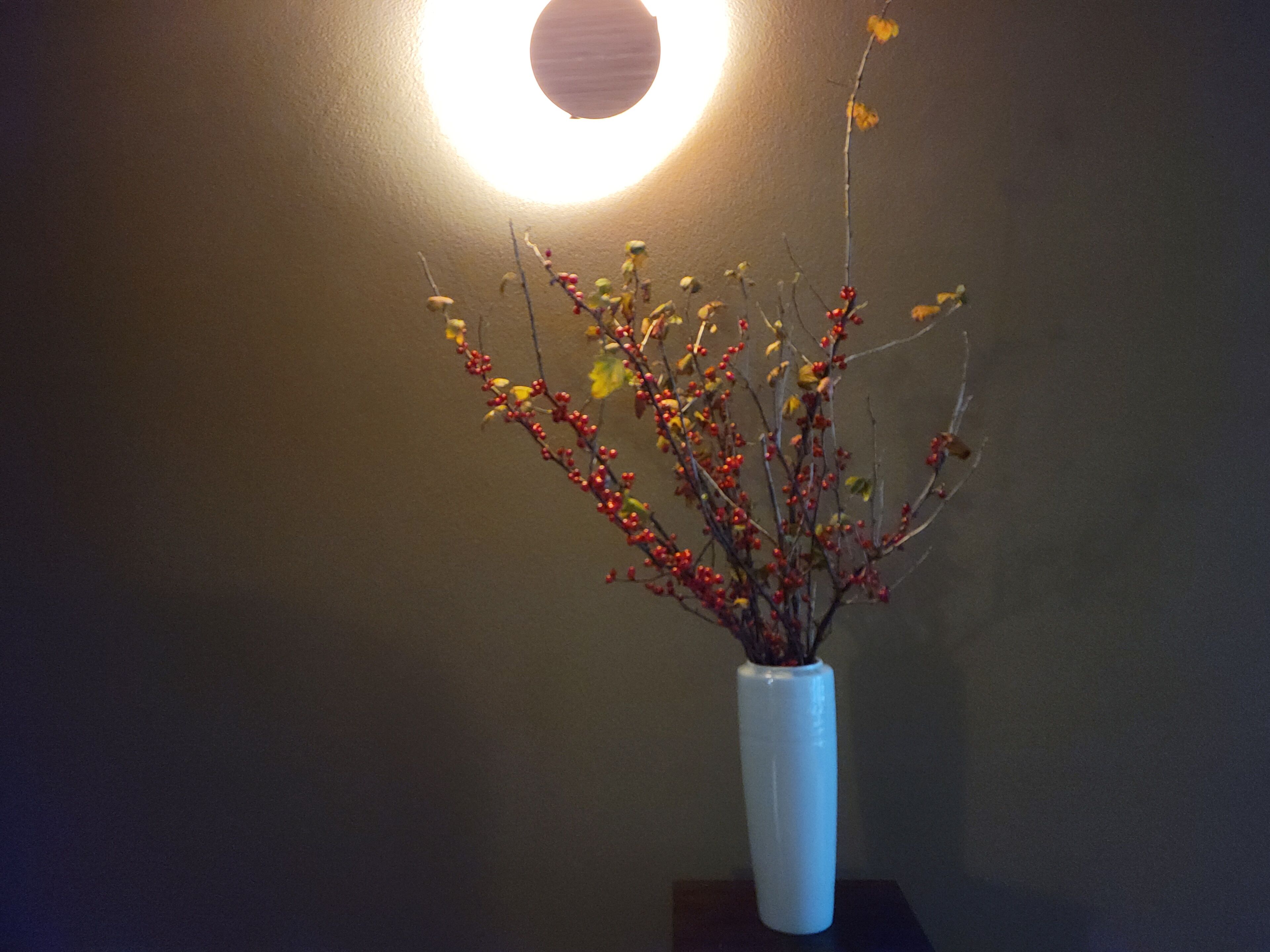 A white vase with branches and berries on a dark surface against a plain wall with a circular light fixture.