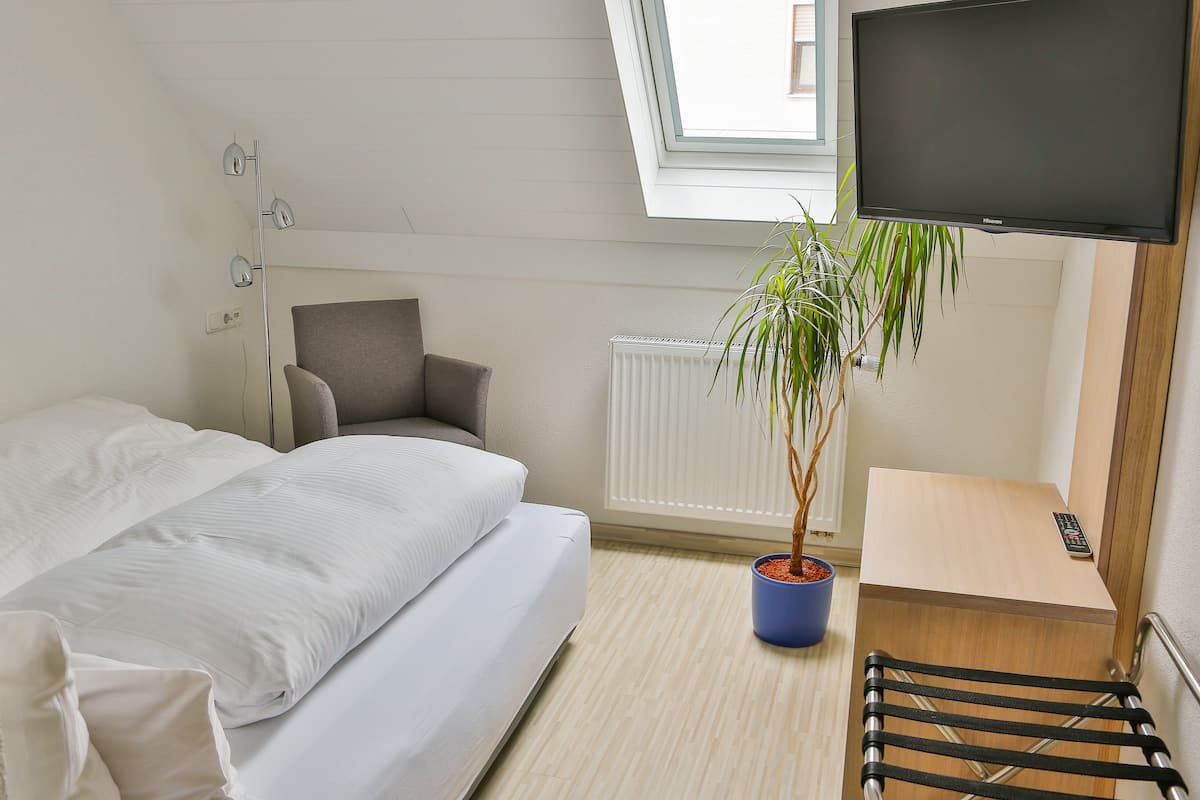 Habitación de hotel con cama, escritorio, silla, planta en maceta, radiador y televisor fijado a la pared.
