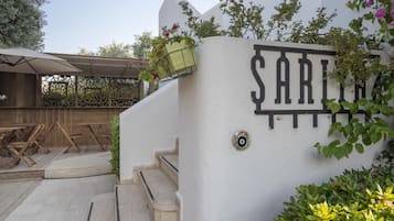 55-inch LCD TV with satellite channels, TV