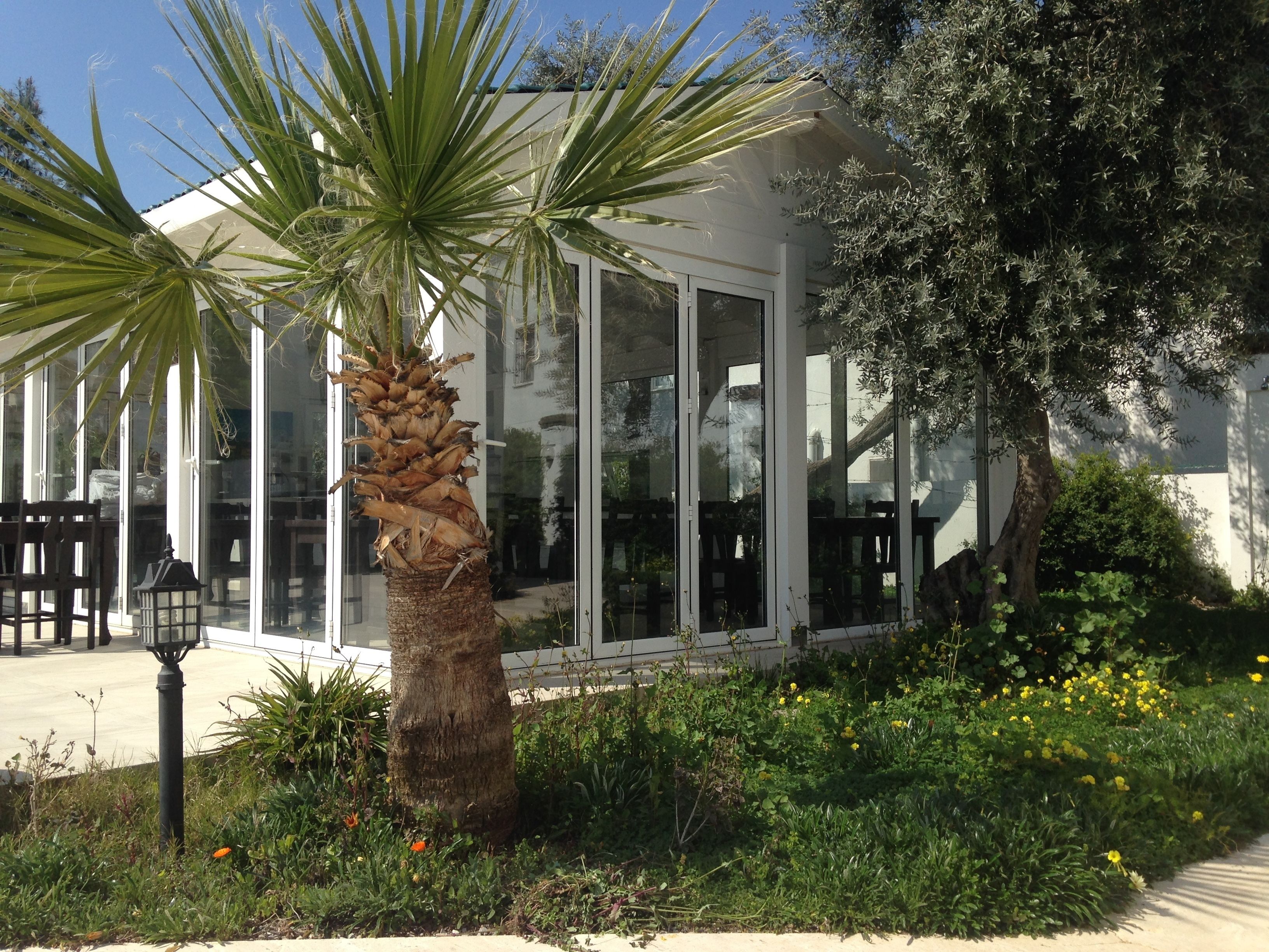 Ein Gebäude mit großen Glasfenstern, einer Palme und einem Garten mit gelben Blüten.