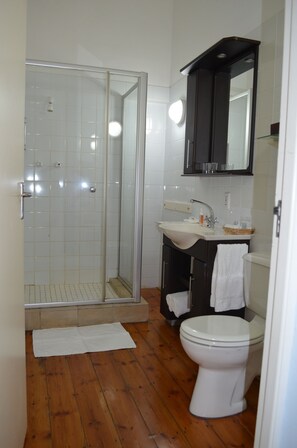 Standard Twin Room | Bathroom | Shower, free toiletries, hair dryer, towels