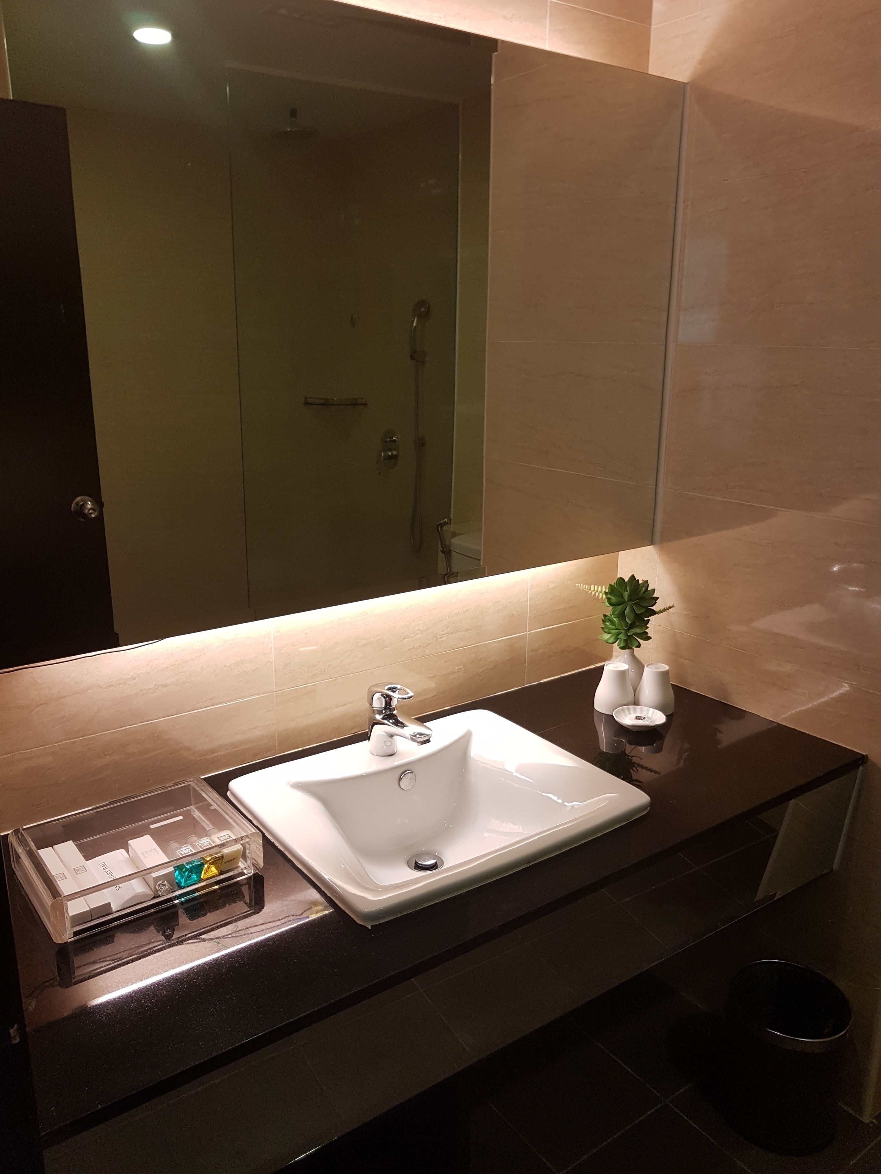 A bathroom with a white sink, a mirror, and a small plant on the counter.