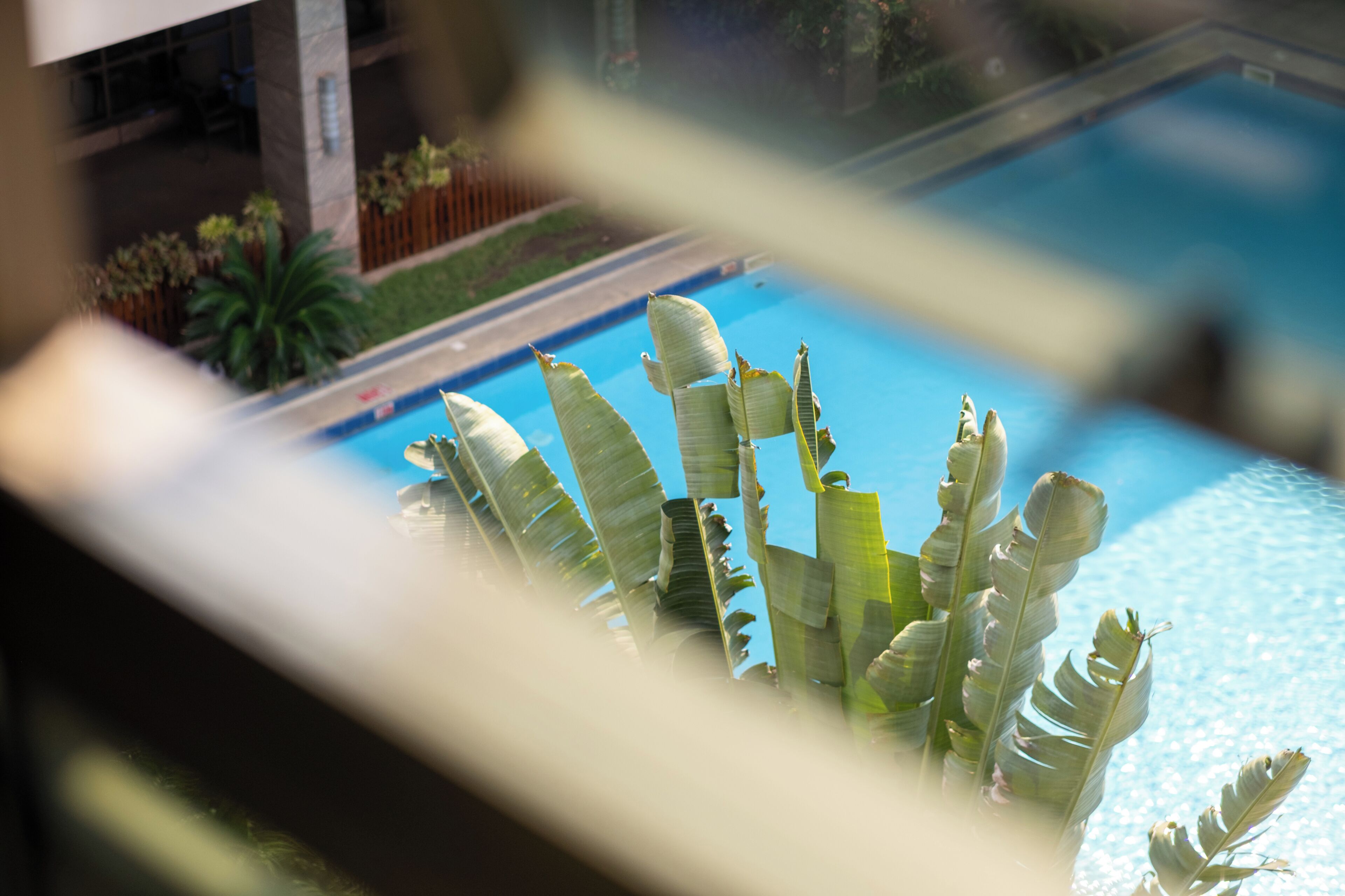 A pool with banana leaves in the foreground.