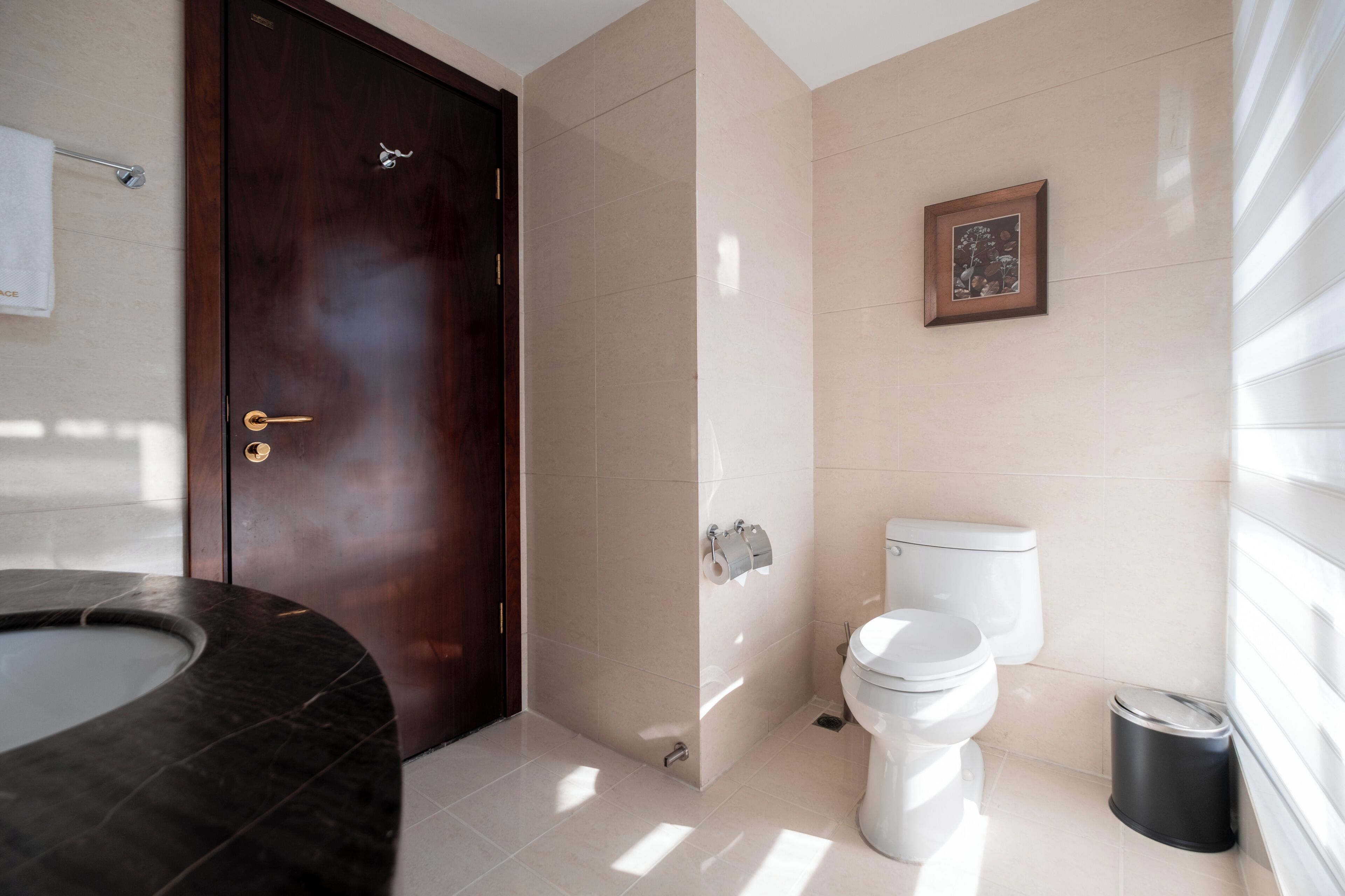A bathroom with a dark wooden door, a white toilet, a trash bin, and a framed picture on the wall.