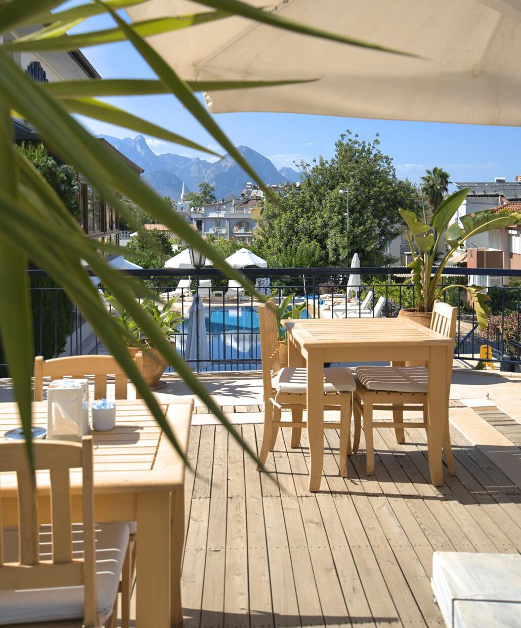 Photo - Naturella Apart