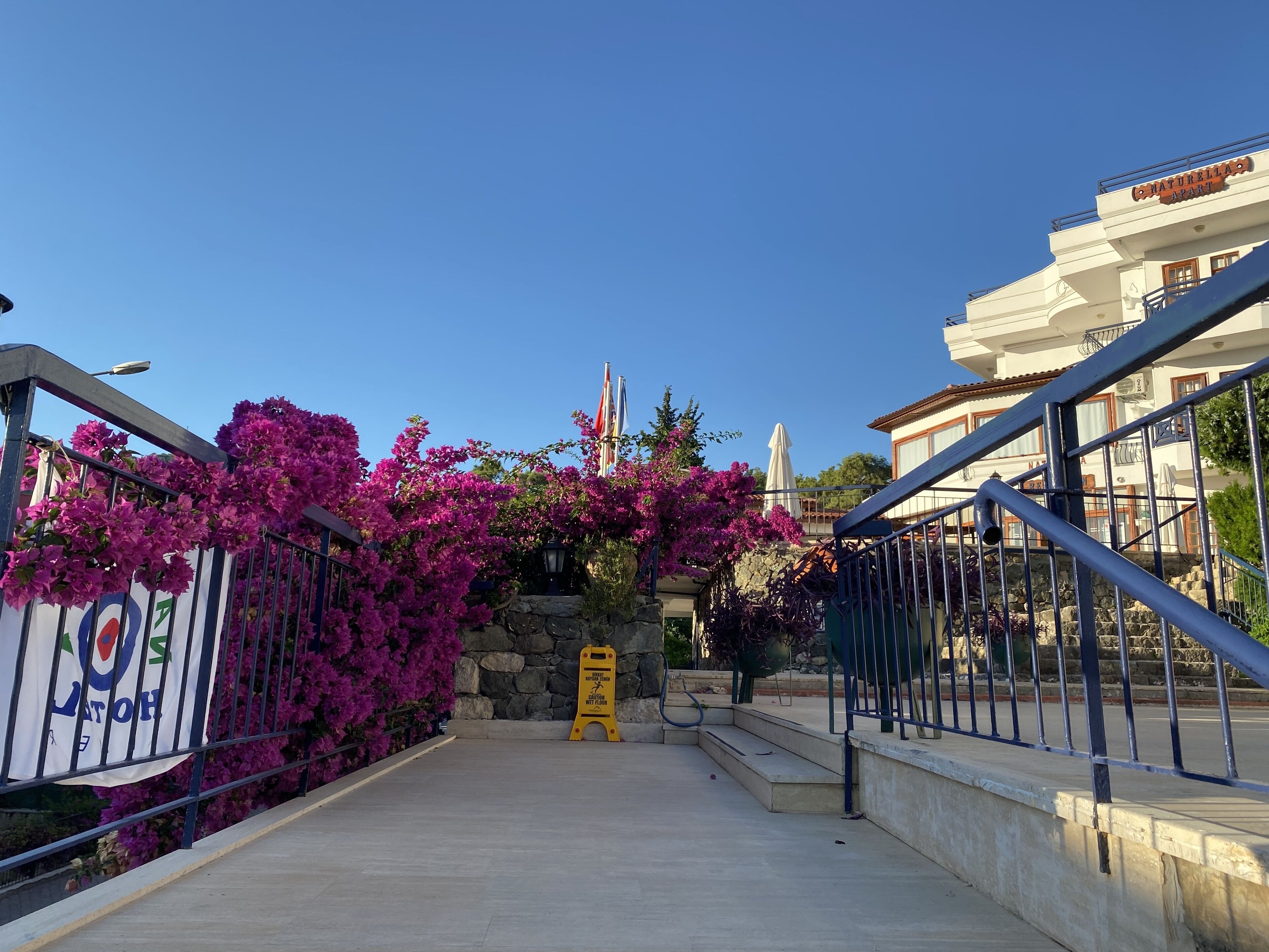 Photo - Naturella Apart