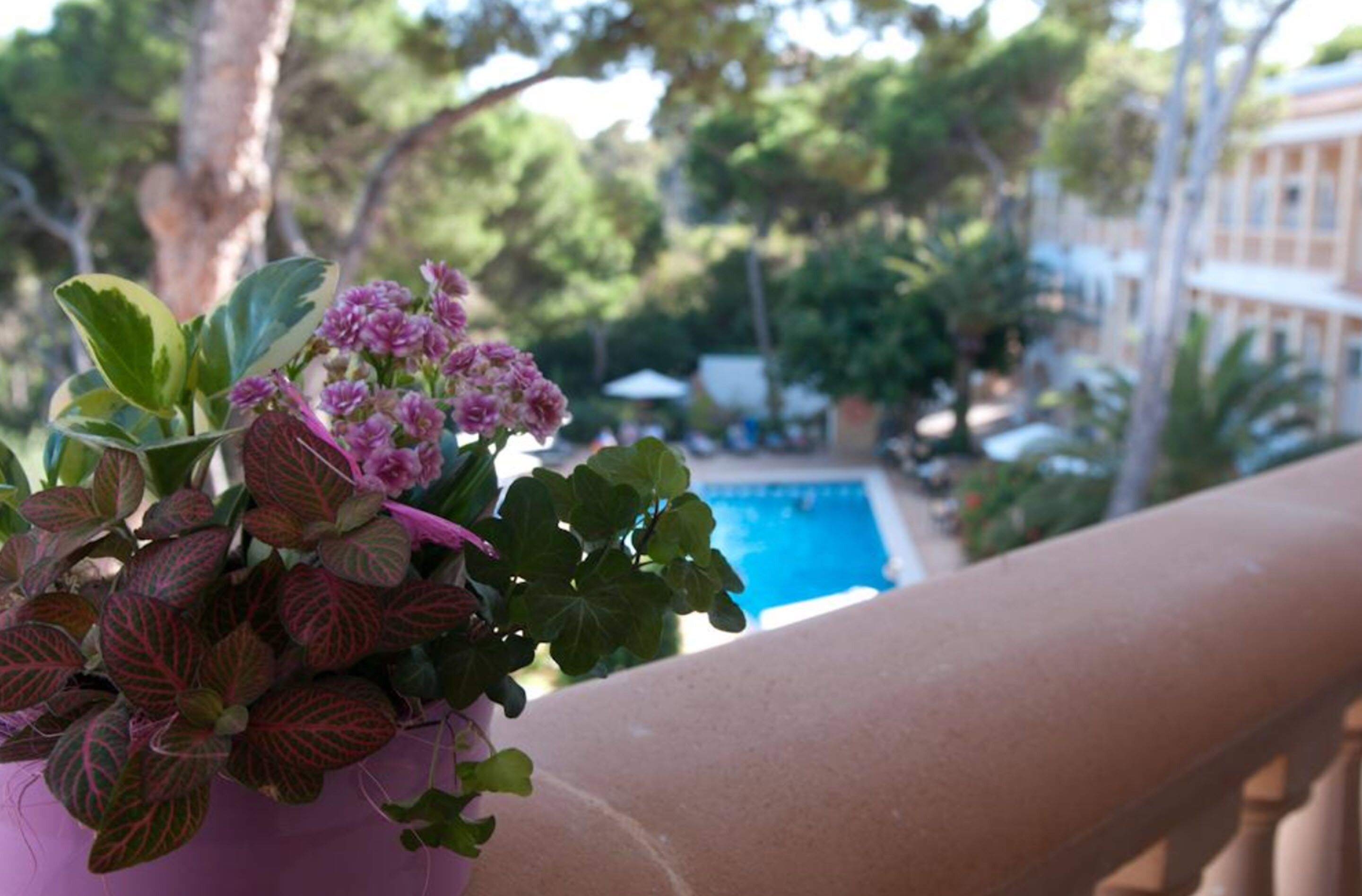 Foto - Cala Gat