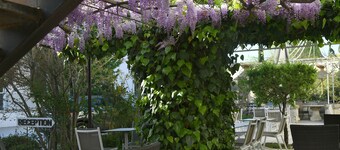 Hôtel du Soleil & Spa