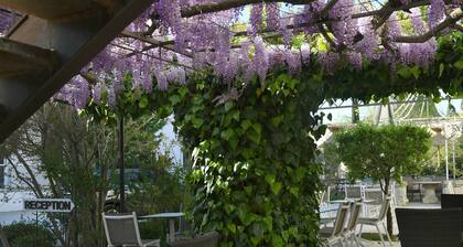 Hôtel du Soleil & Spa