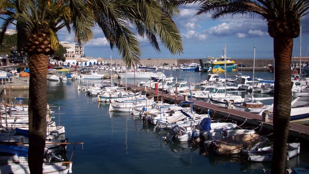 A marina with numerous boats docked, palm trees, and a building with arches in the background. - Baviera Hotel (Capdepera)