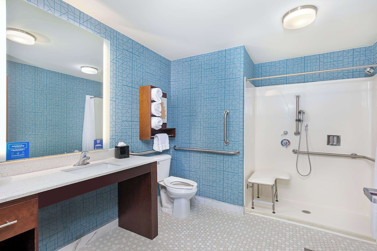 combined shower/bathtub, free toiletries, hair dryer, towels