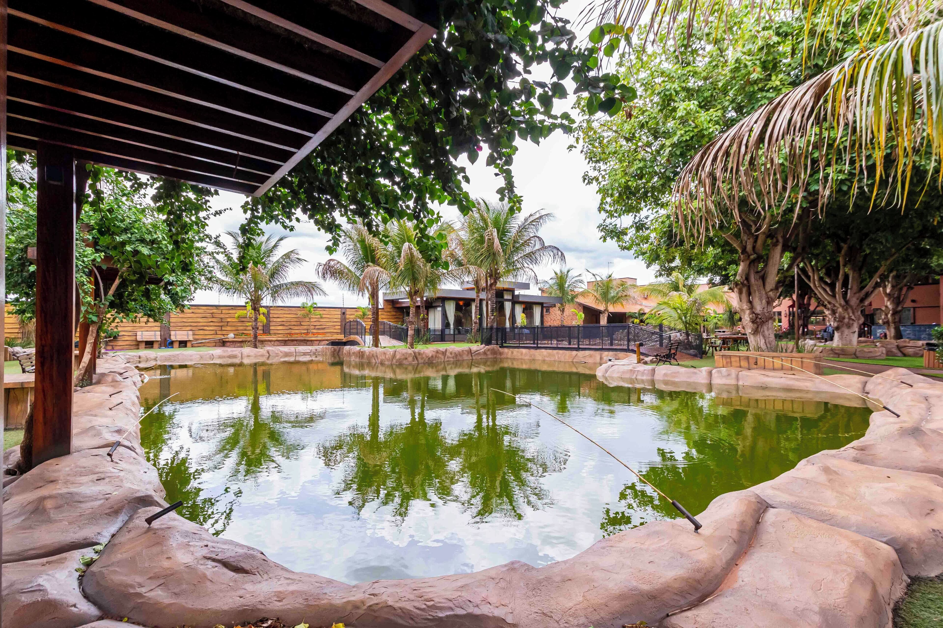A tranquil outdoor area with a pond, surrounded by rocks and trees, under a wooden pergola.