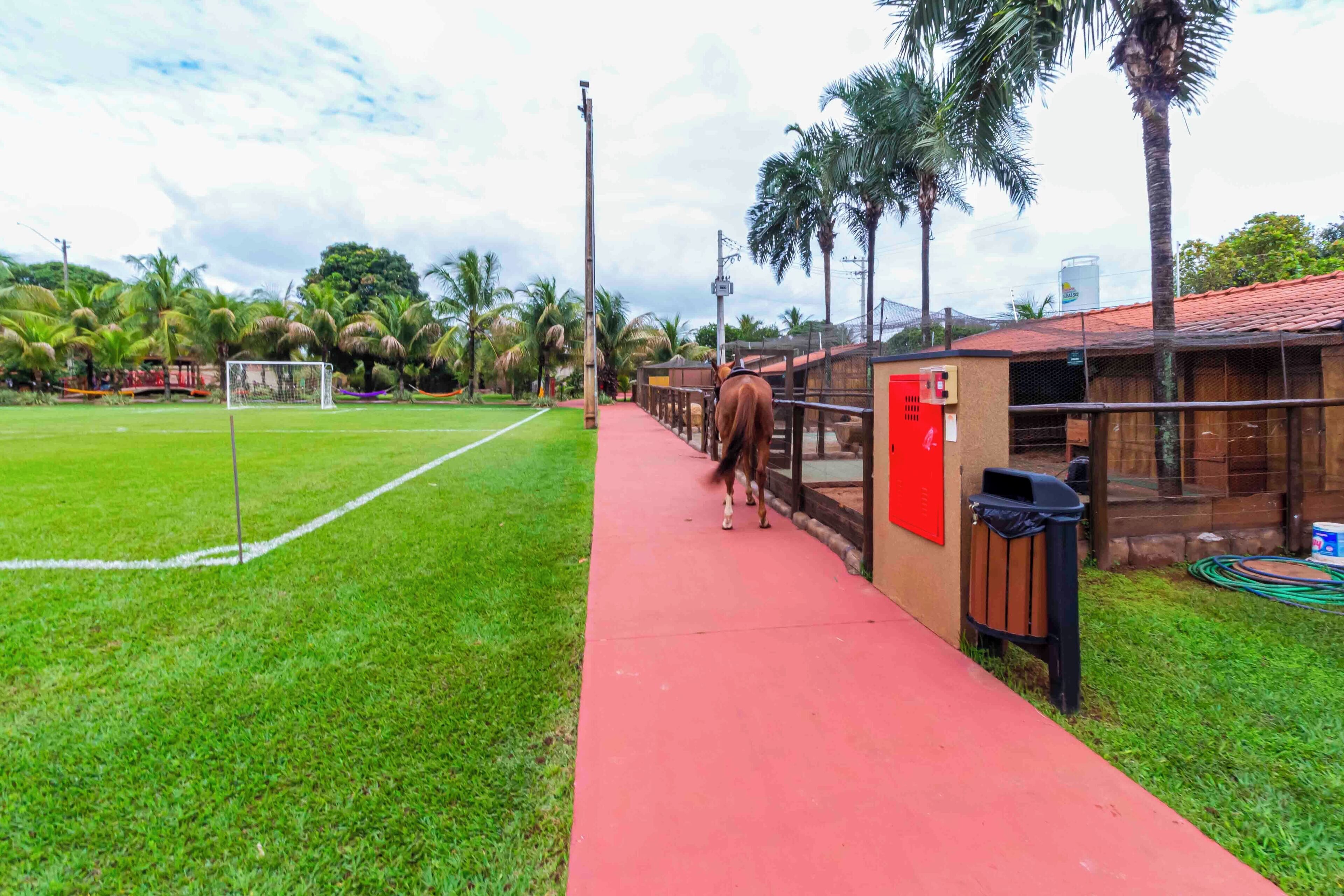 A pathway beside a soccer field with a goalpost, palm trees, and a building with a red door and trash bin.