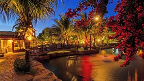 Escena serena de la noche con fuente de agua, palmeras y un puente.