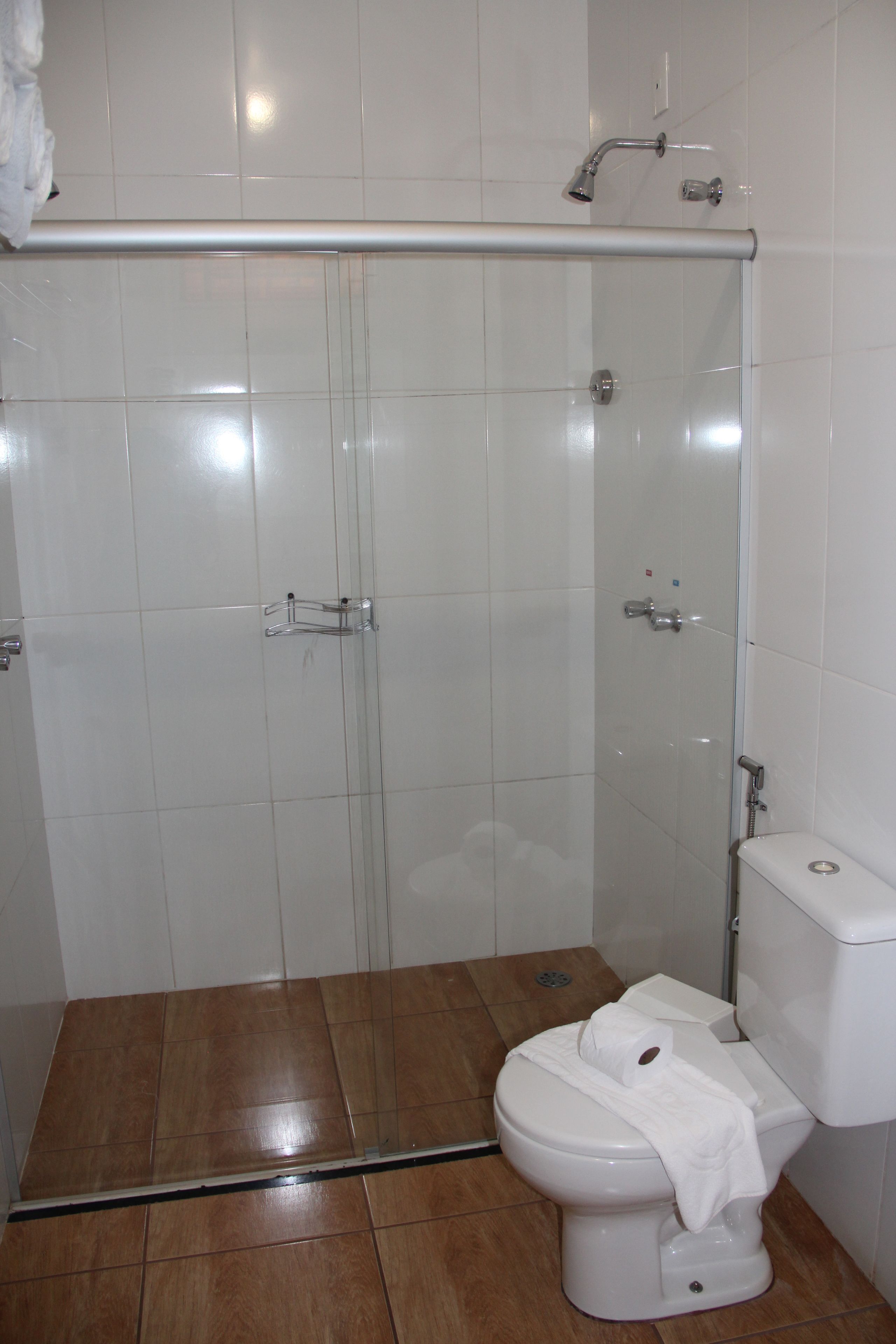 A bathroom with a shower enclosure, toilet, and a towel rack.