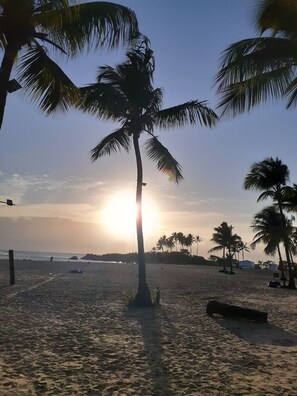 A beach with palm trees and the sun setting in the background. - Pousada Timbalada (Cairu)