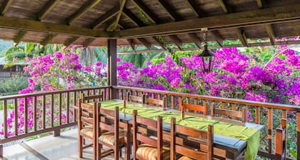 Playa de Oro Lodge