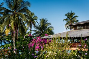 Fachada da propriedade