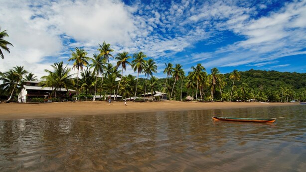 Una playa con palmeras, un bote y un edificio con techo de paja.