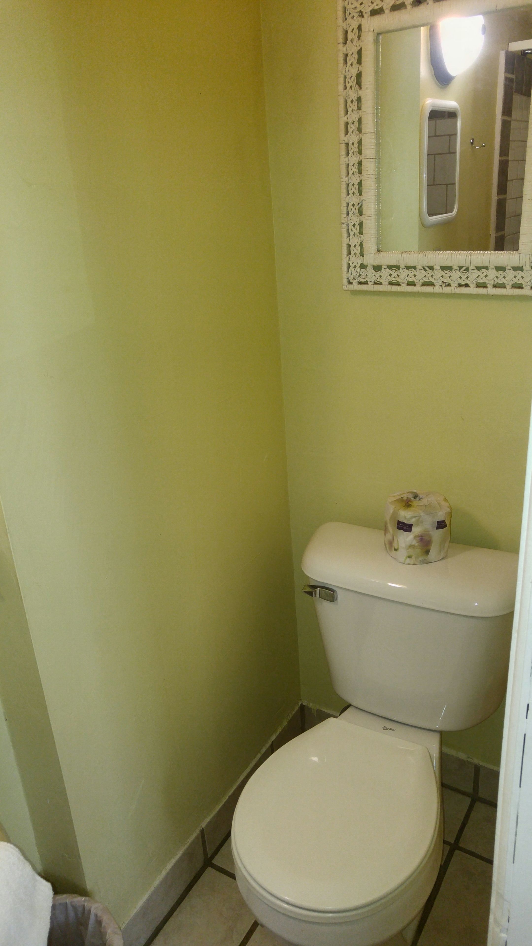 Une petite salle de bain étroite, équipée de toilettes, d’un miroir et d’une poubelle.