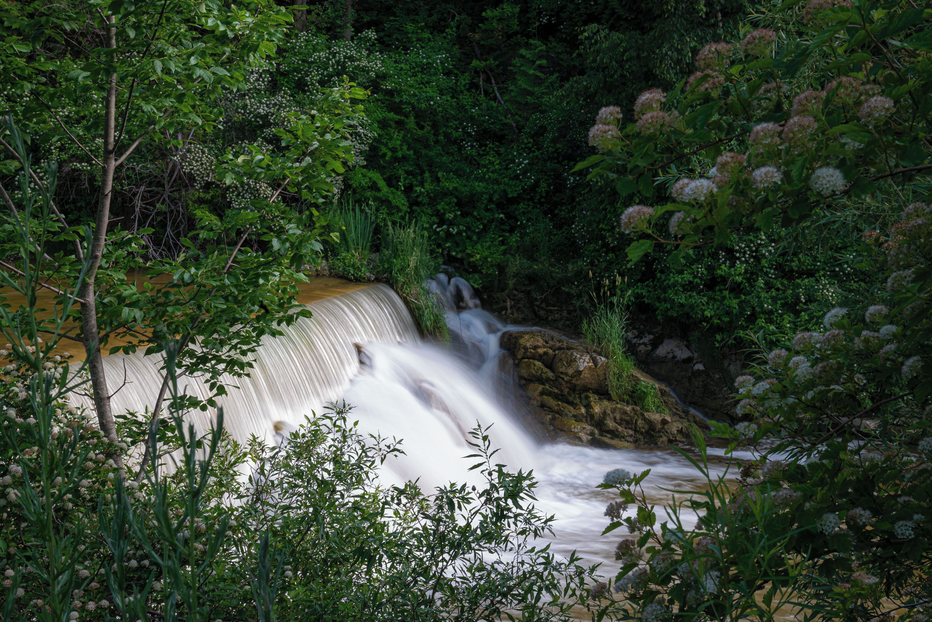 A waterfall surrounded by dense greenery.