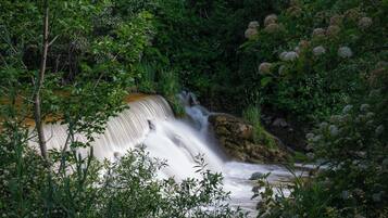 A waterfall surrounded by dense greenery.