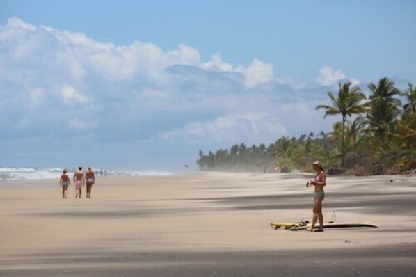 Une plage bordée de palmiers, avec une personne debout près d’une planche de surf.