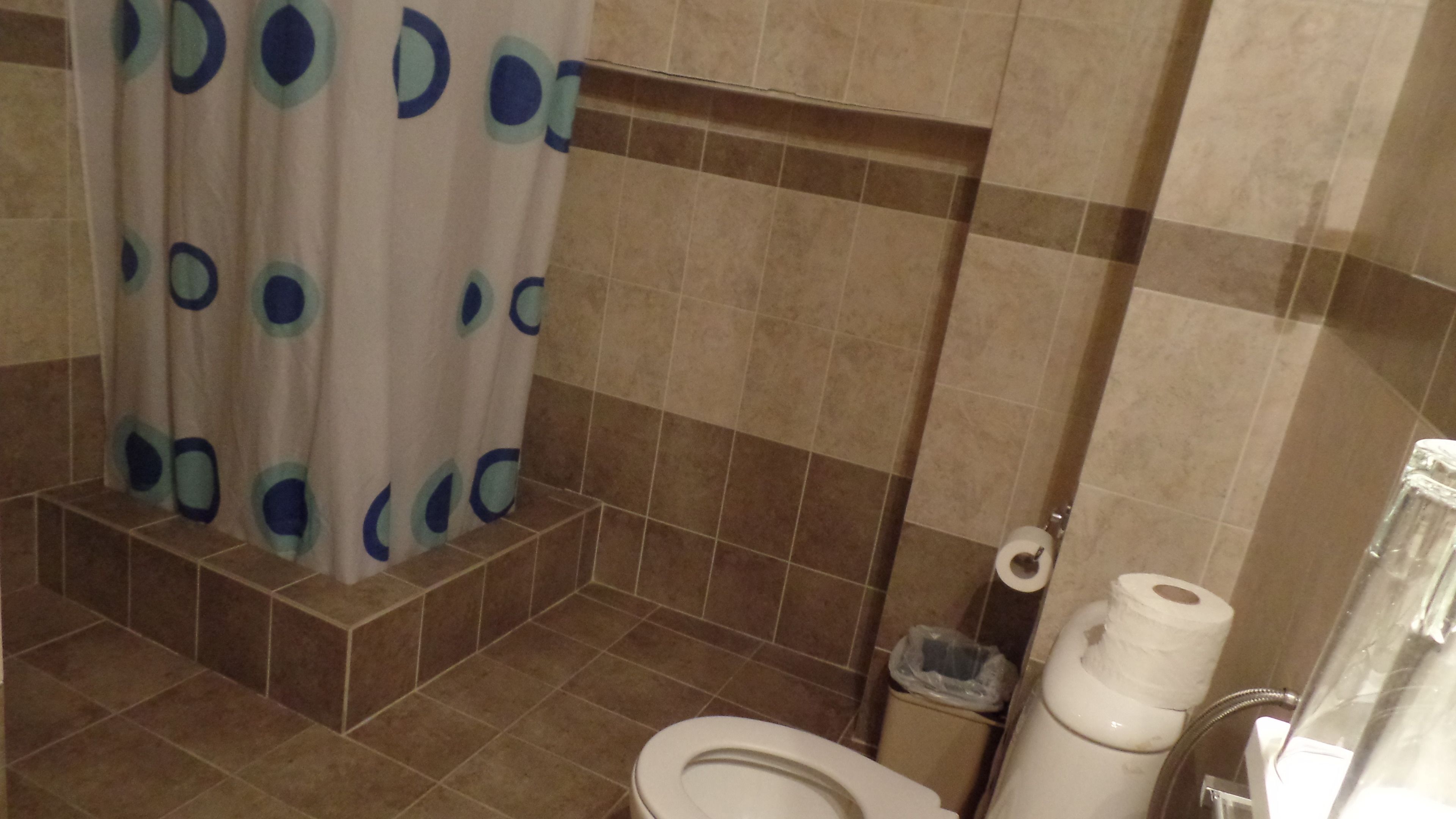 A bathroom with a toilet, a shower curtain, and a trash bin.