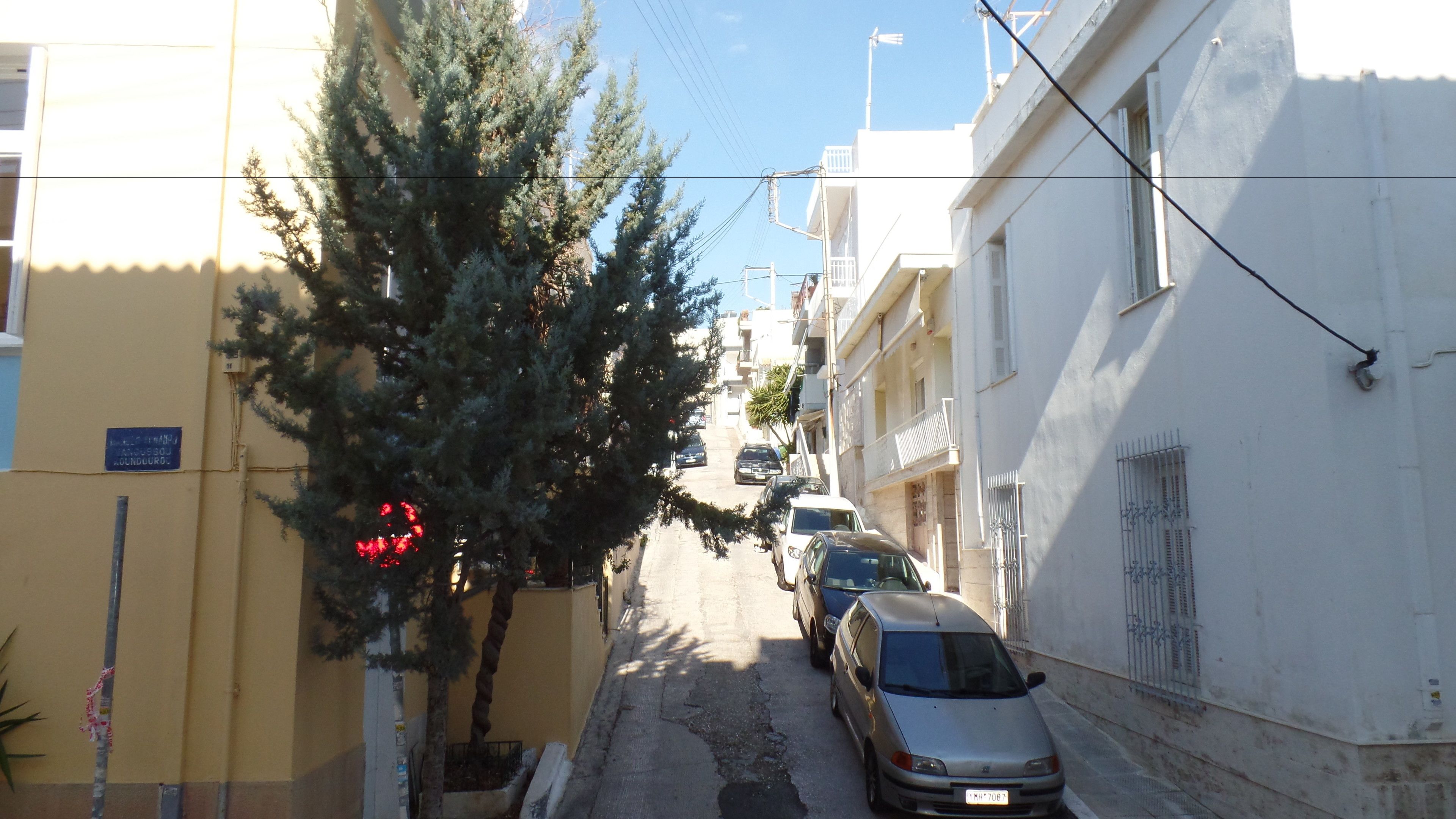 A narrow street with parked cars and a tree in the middle. Buildings line both sides of the street.