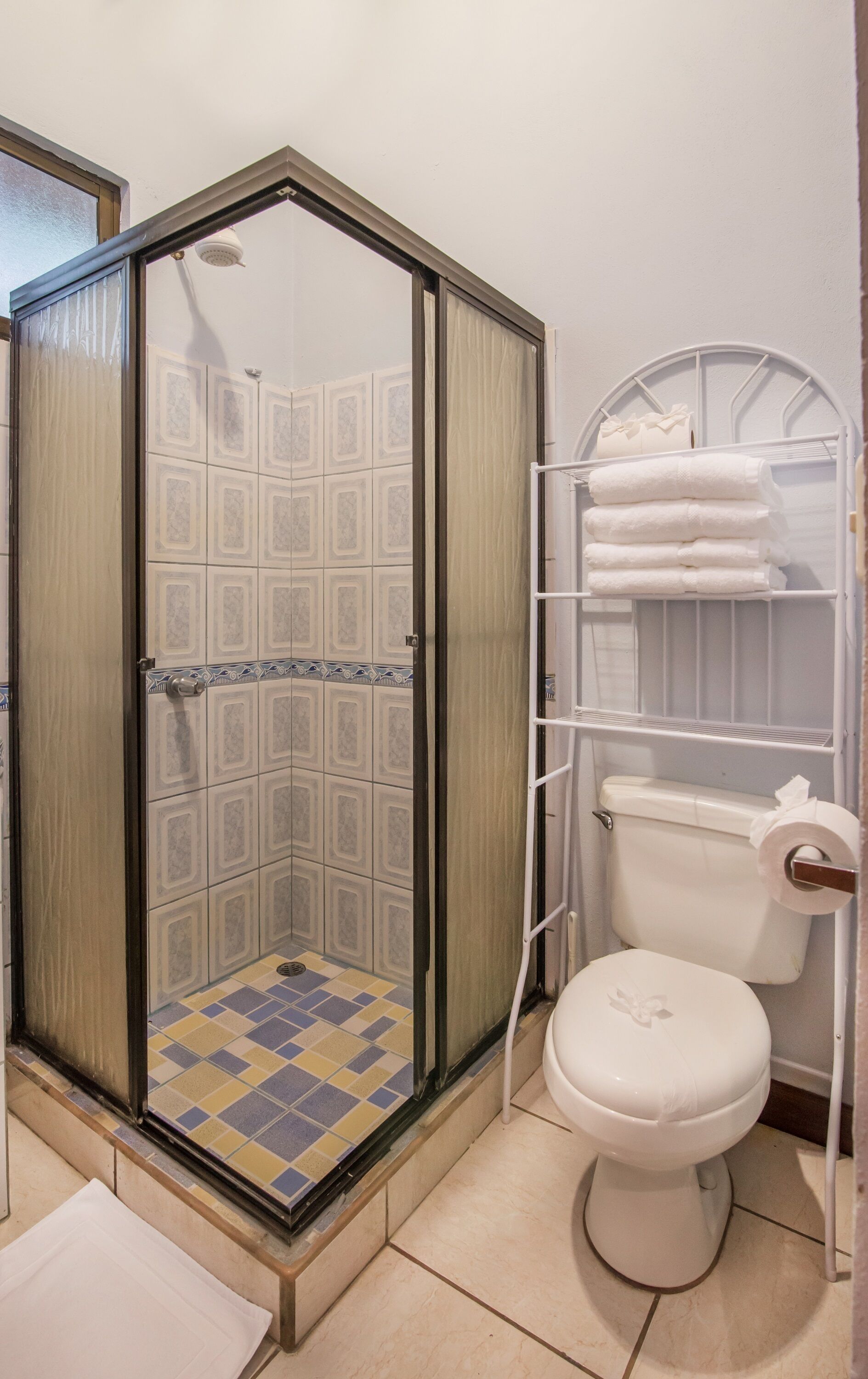 A bathroom with a shower enclosure, a toilet, and a towel rack.