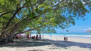 Une plage avec des gens, un arbre et un ciel dégagé.