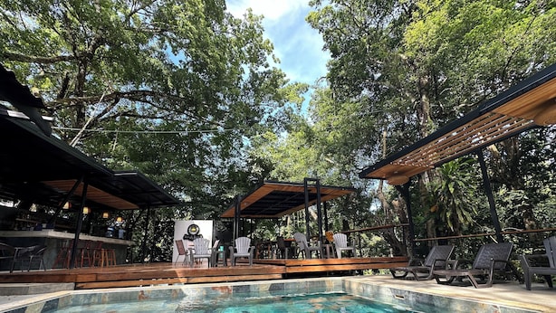 Un espace extérieur avec une piscine, des chaises longues et un bar, le tout entouré d’arbres.