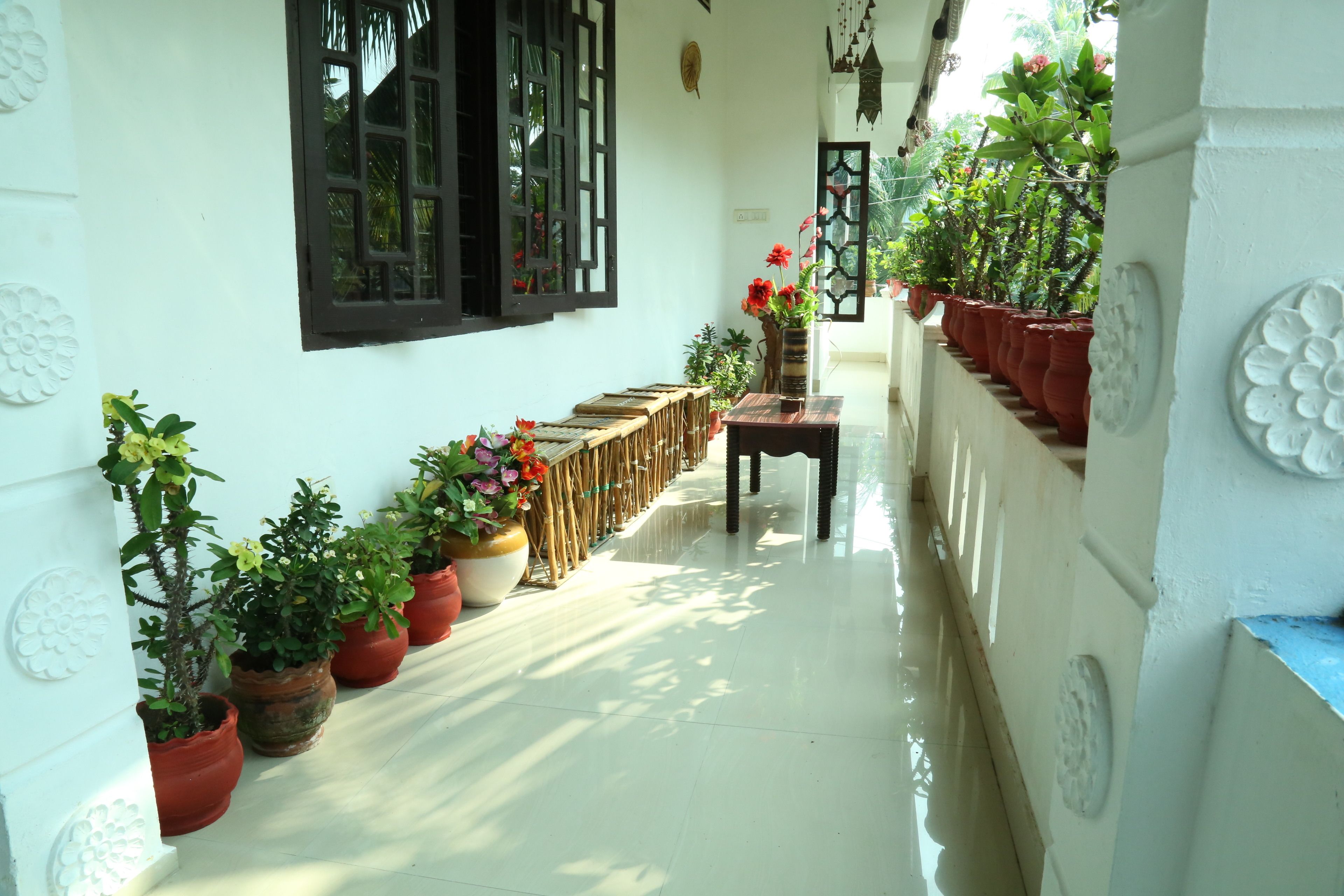A corridor with potted plants, a wooden bench, and a window with black shutters.