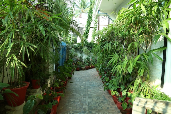 Jardín