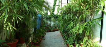 Dream Catcher Home Stay
