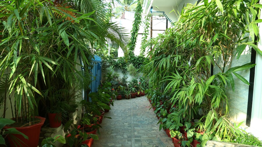 Dream Catcher Home Stay