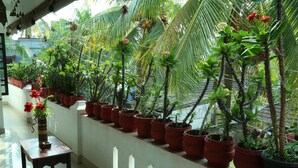 A balcony with potted plants and a small table. - Dream Catcher Home Stay (Kochi)