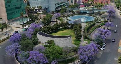 Holiday Inn México Santa Fe by IHG