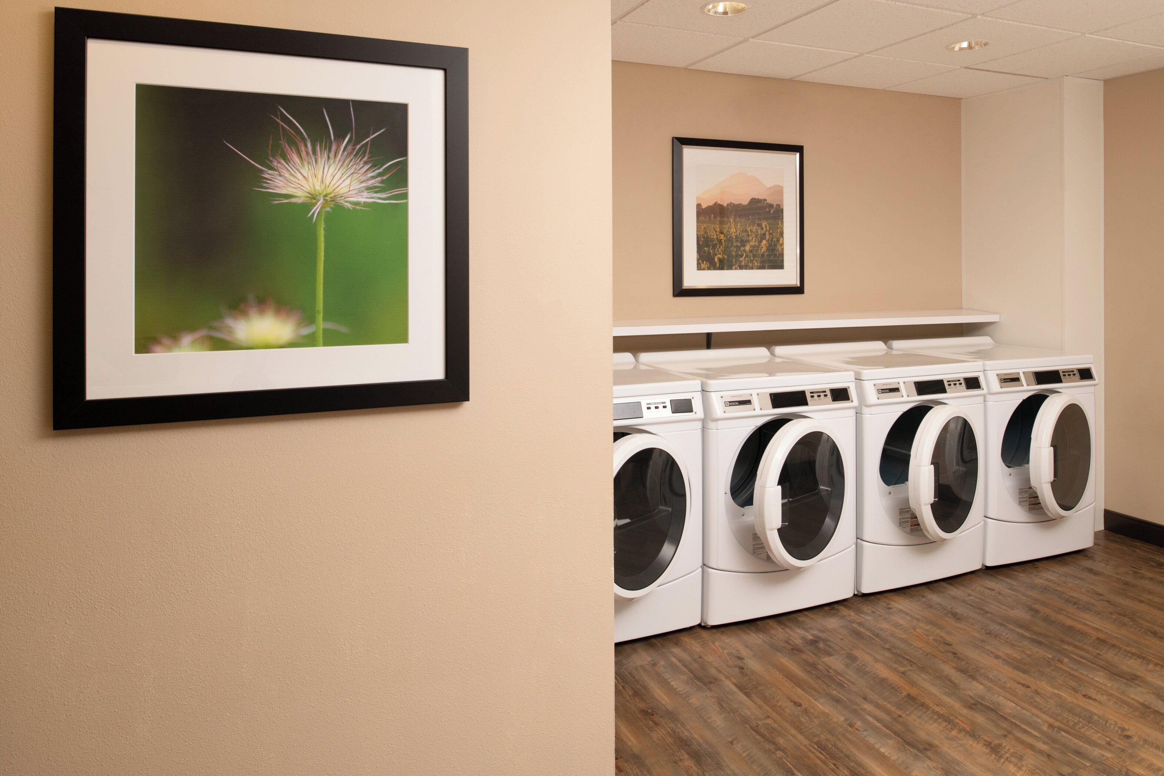 A laundry room with four front-loading washing machines and two framed pictures on the wall.